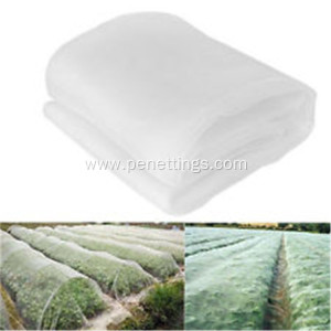 Agriculture Virgin HDPE Monofilament Anti Insect Net